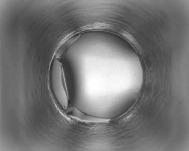 X0000053110850200508081223