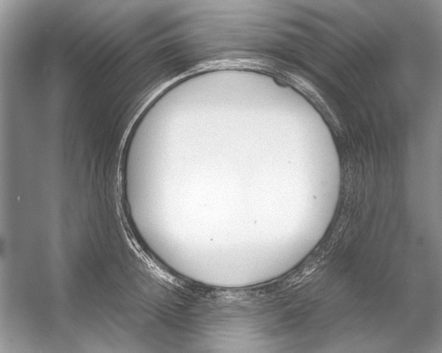 X0000053110852200508081223