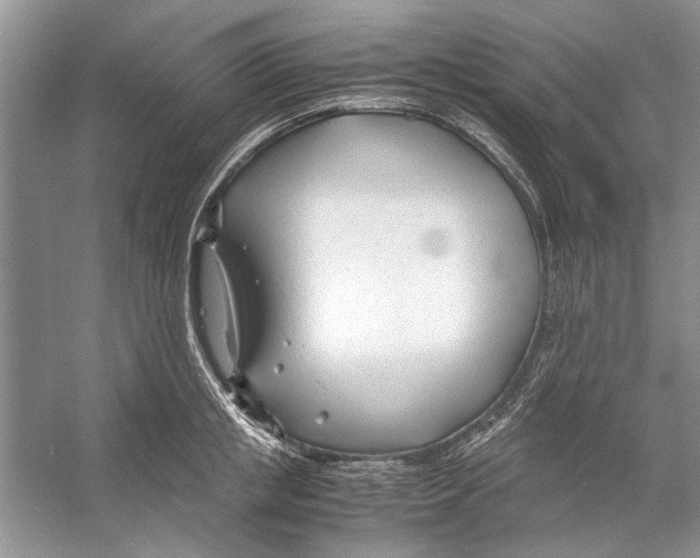 X0000053110853200508081223