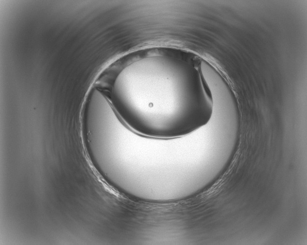 X0000053110854200508081223