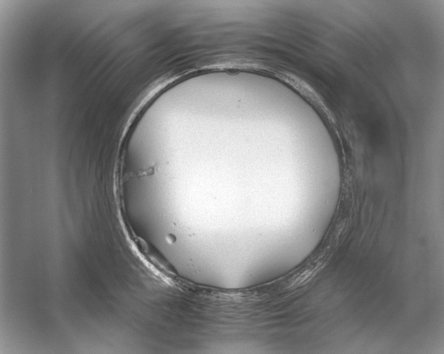 X0000053110855200508081223