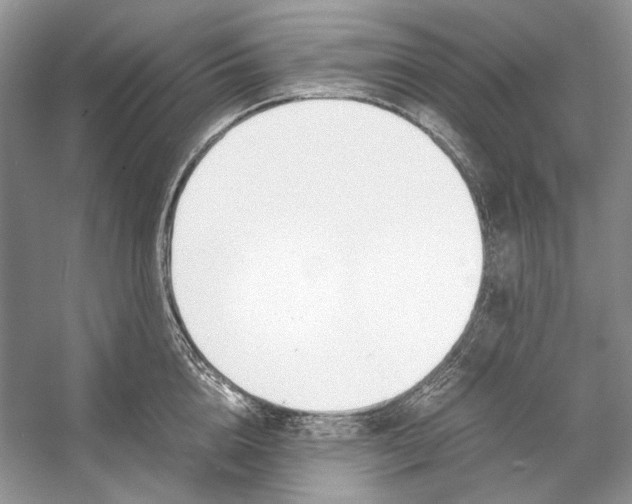 X0000053110856200508081223