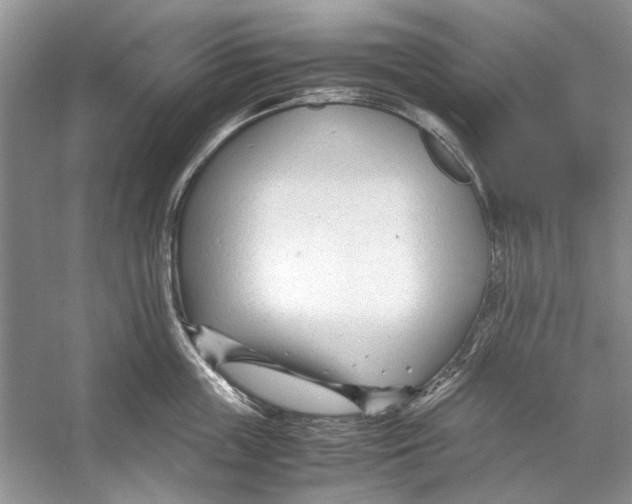 X0000053110859200508081223