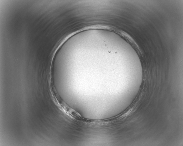 X0000053110860200508081223