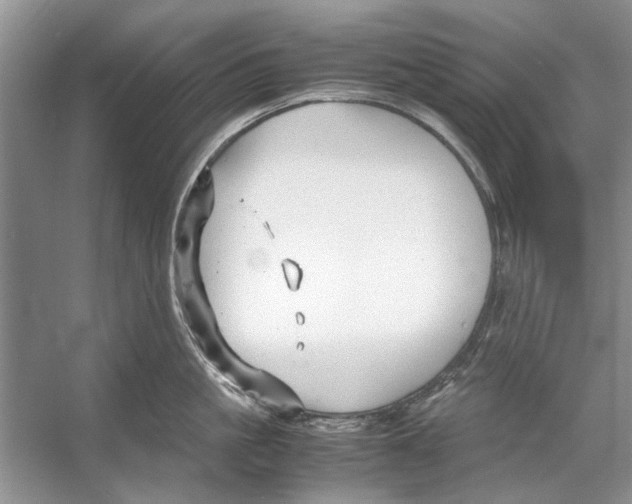 X0000053110861200508081223