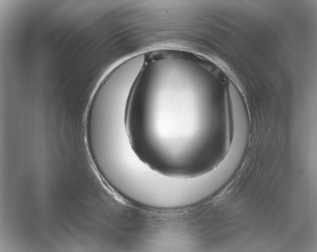 X0000053110862200508081223