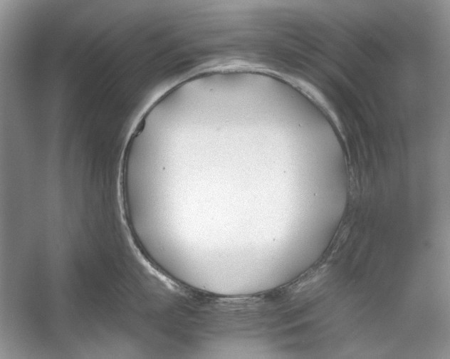 X0000053110863200508081223