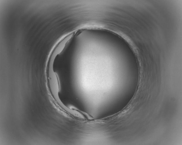 X0000053110864200508081223