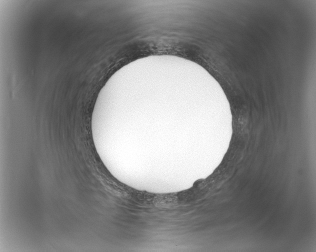 X0000053110865200508081223