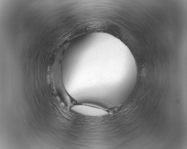 X0000053110868200508081223