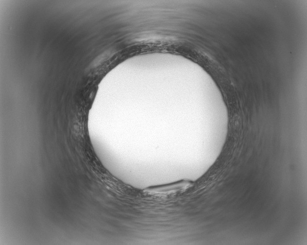 X0000053110869200508081223