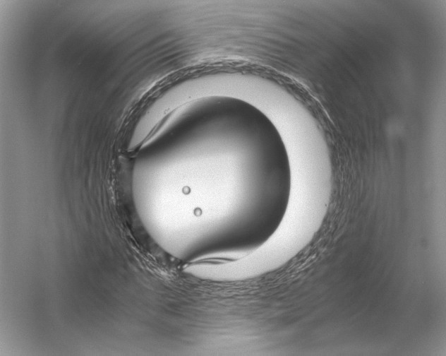 X0000053110871200508081223