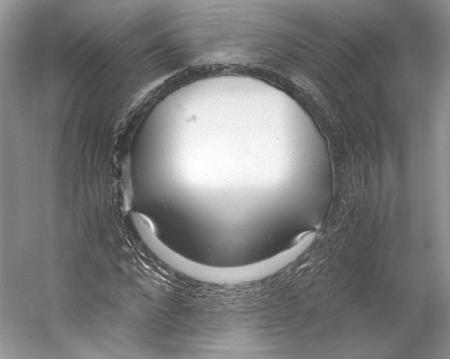 X0000053110872200508081223