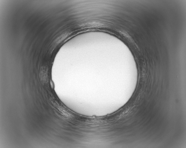 X0000053110873200508081223