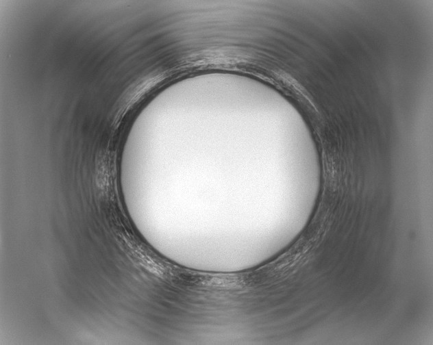 X0000053110874200508081222