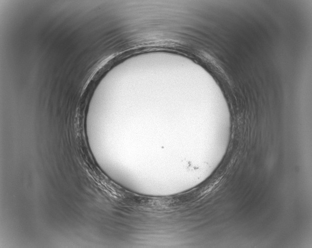 X0000053110875200508081222