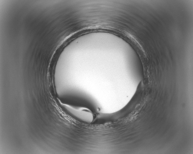 X0000053110876200508081222