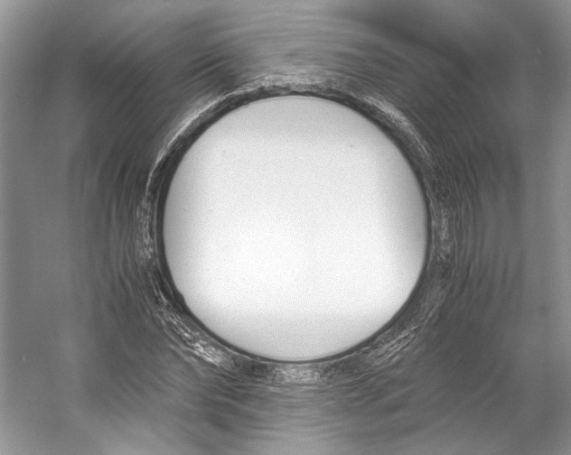 X0000053110878200508081222