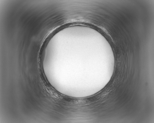 X0000053110879200508081222