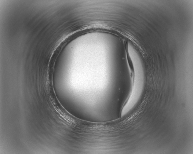 X0000053110880200508081222