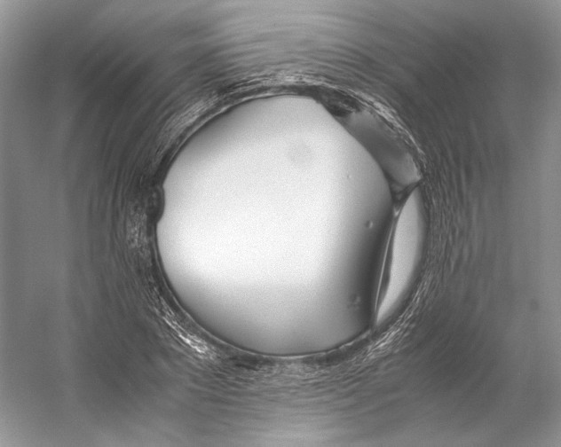 X0000053110881200508081222