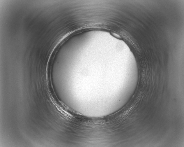 X0000053110884200508081222