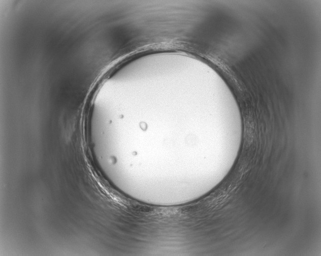 X0000053110886200508081222