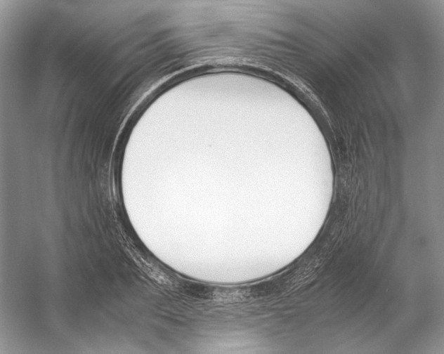 X0000053110887200508081222