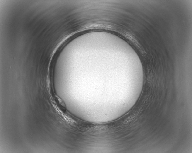 X0000053110888200508081222