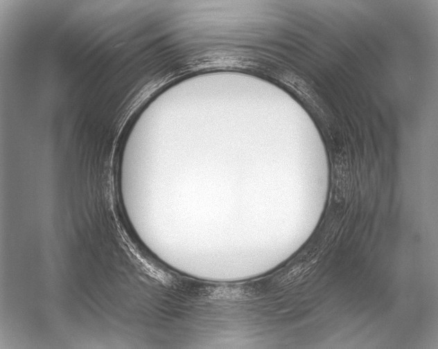 X0000053110890200508081222