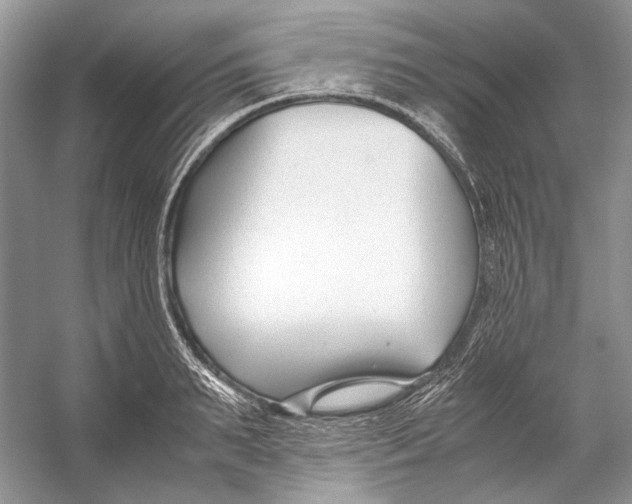 X0000053110895200508081222