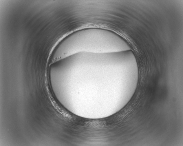 X0000053110896200508081222