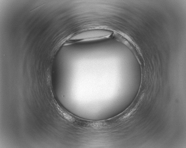 X0000053110897200508081222