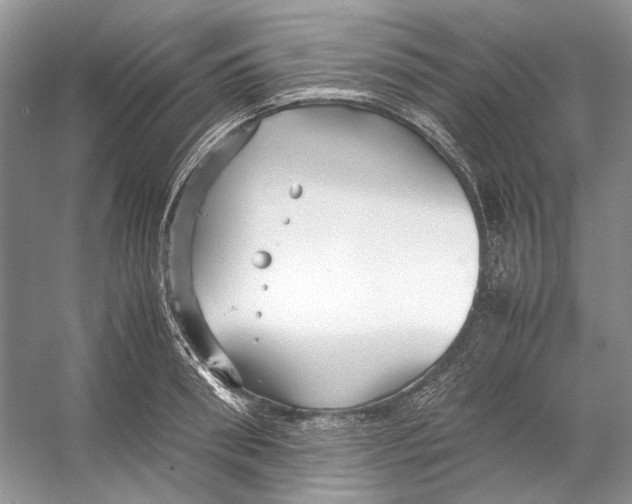 X0000053110898200508081222