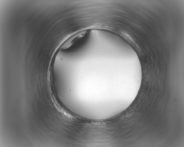 X0000053110900200508081222