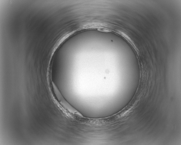 X0000053110901200508081222