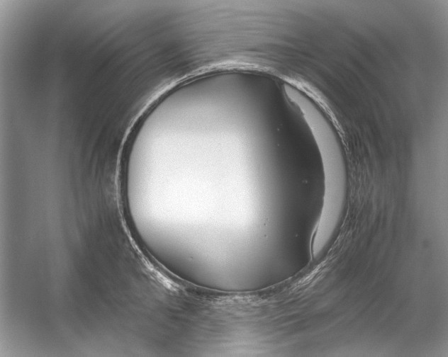 X0000053110902200508081222