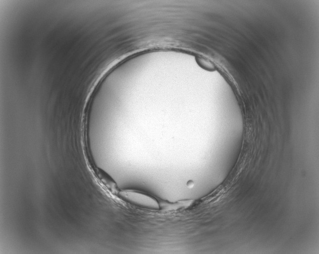 X0000053110903200508081222