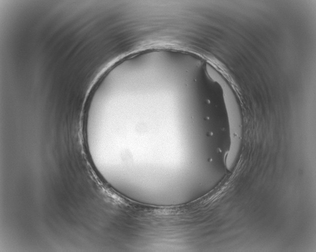 X0000053110904200508081222