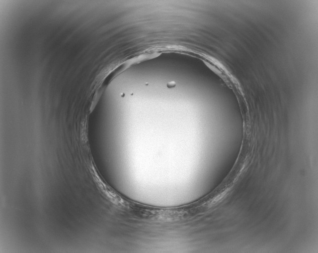 X0000053110905200508081222