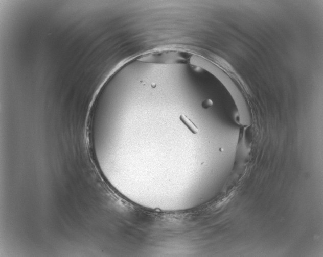 X0000053110908200508081222