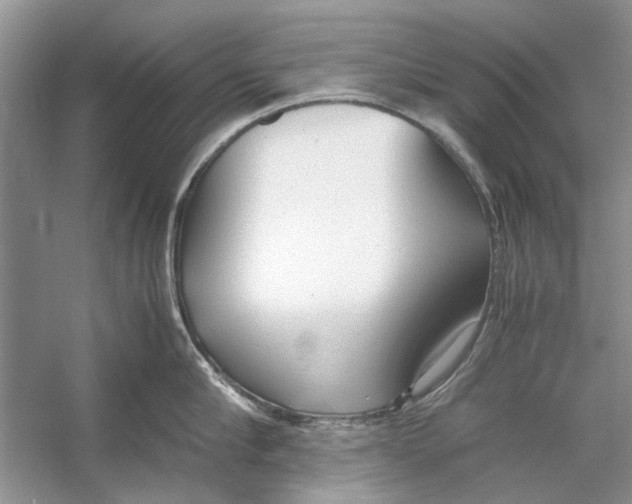 X0000053110910200508081222