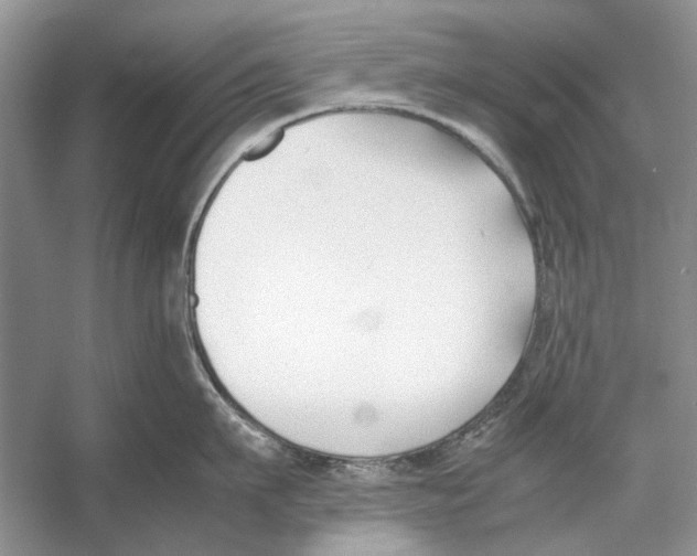 X0000053110911200508081222