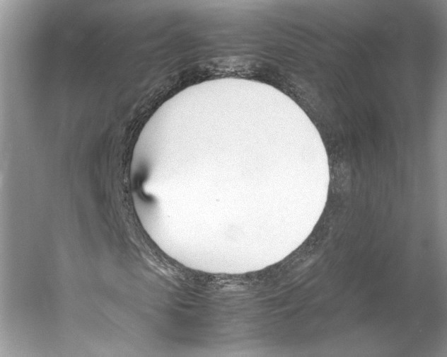 X0000053110913200508081221