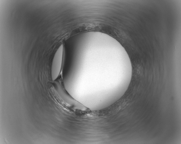 X0000053110914200508081221