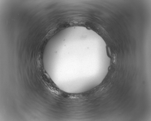 X0000053110915200508081221