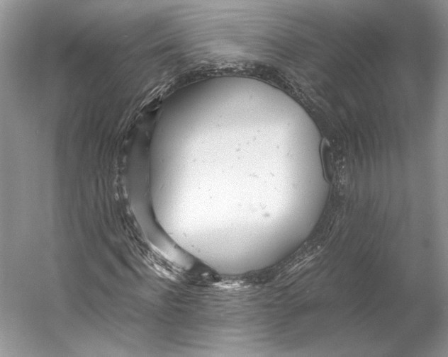 X0000053110916200508081221