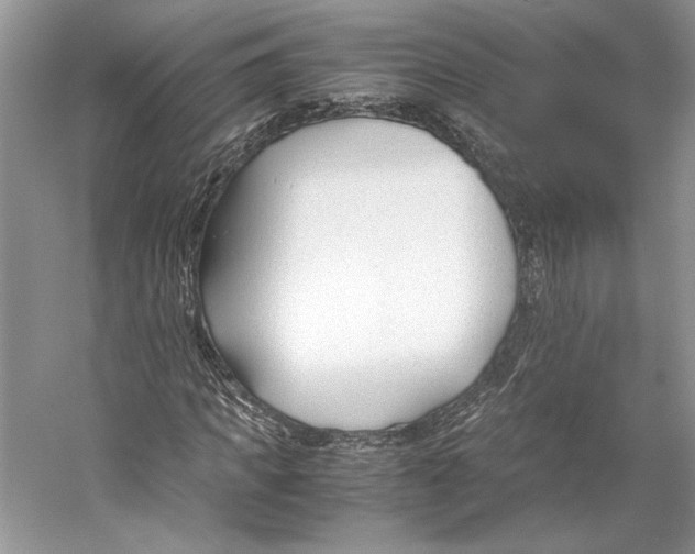 X0000053110917200508081221