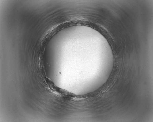 X0000053110919200508081221