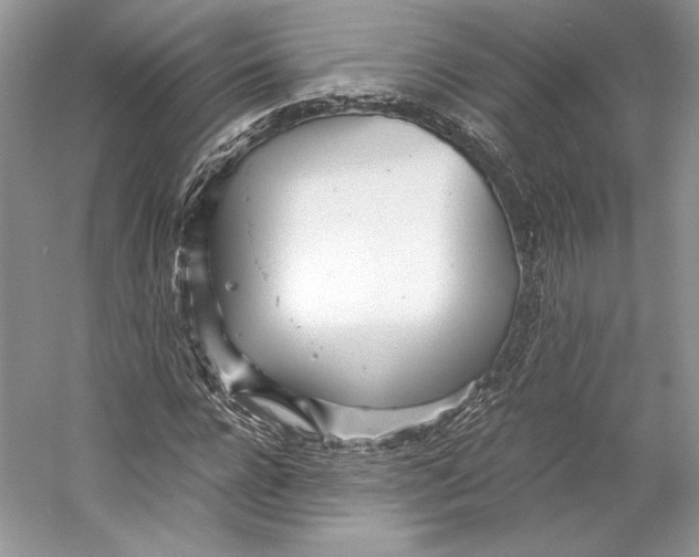 X0000053110920200508081221